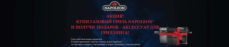 Газовые грили TravelQ 285 Napoleon в Краснодаре
